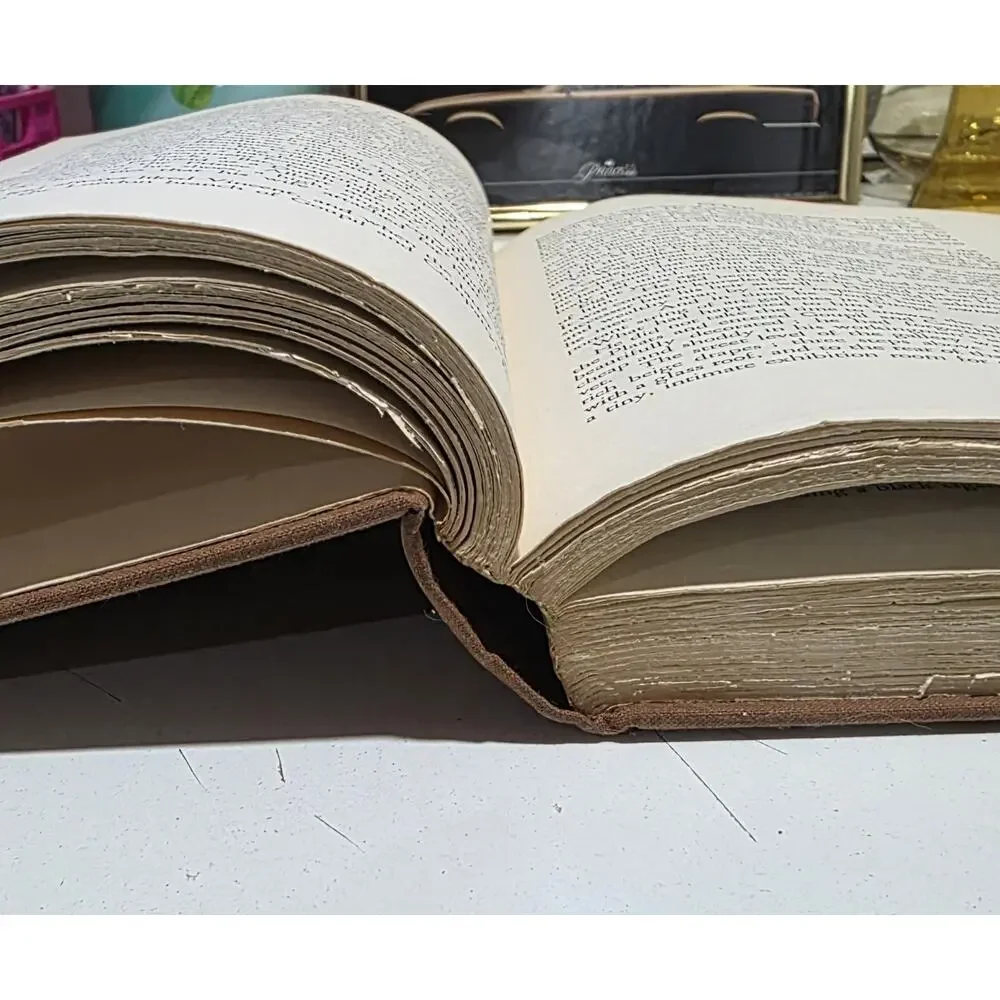 Lust For Life By Irving Stone: 1934 1st Edition 3rd Print